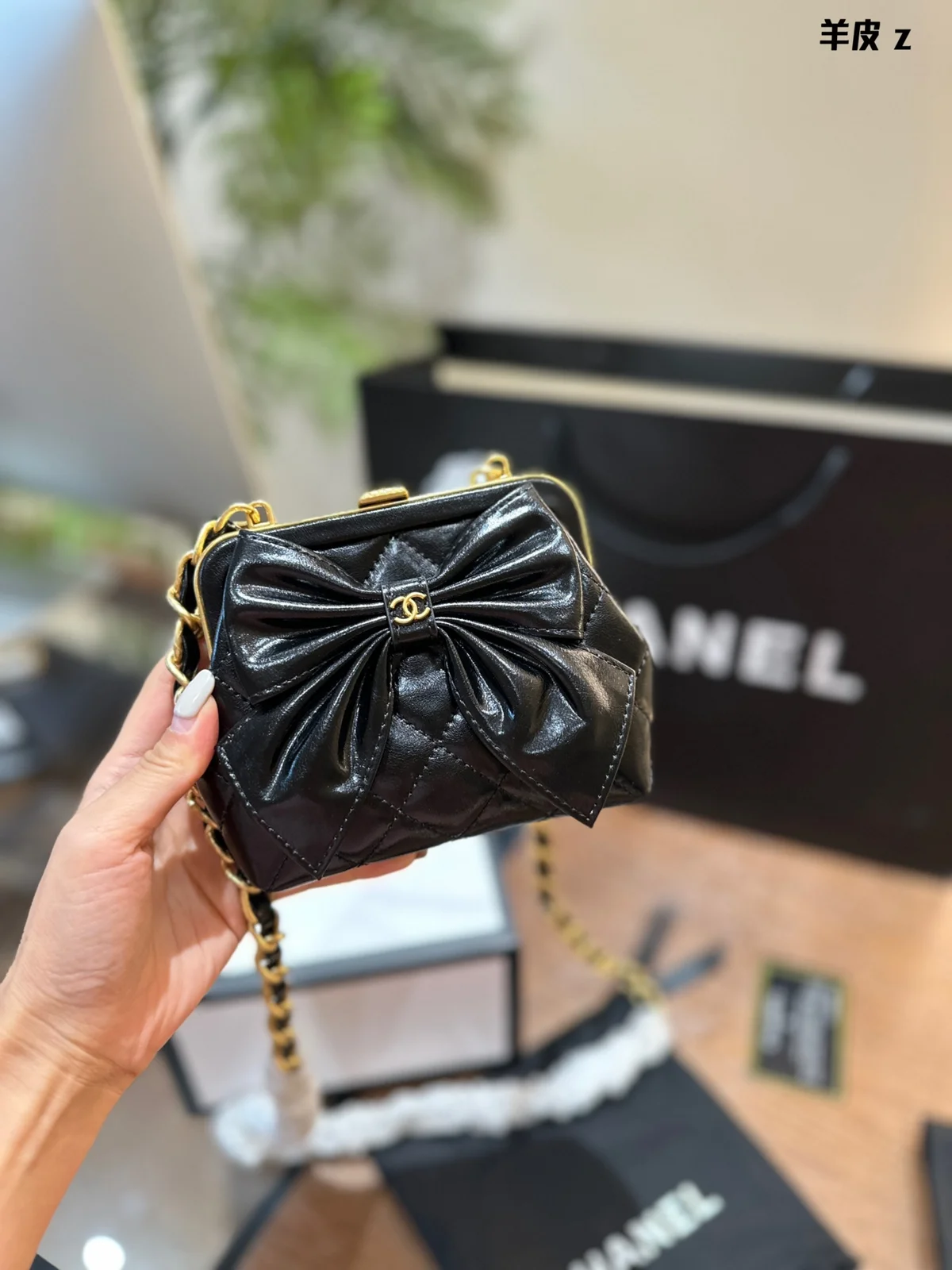 Chanel Bag