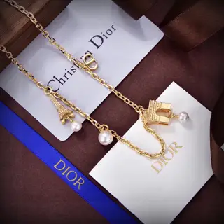 Dior new style Dior new letter earrings loved by top brands Metal texture counterattack