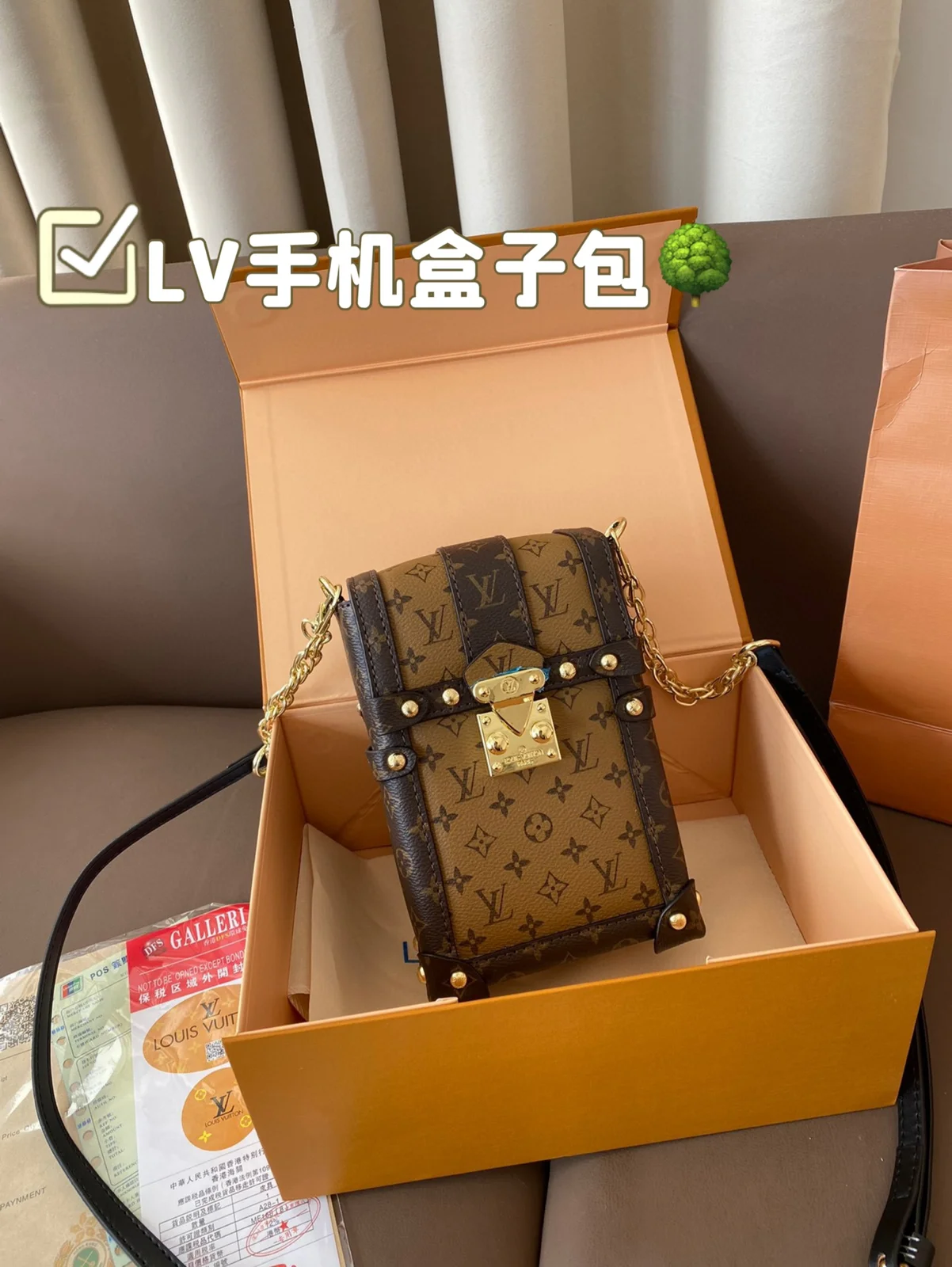 Louis Vuitton Bag
