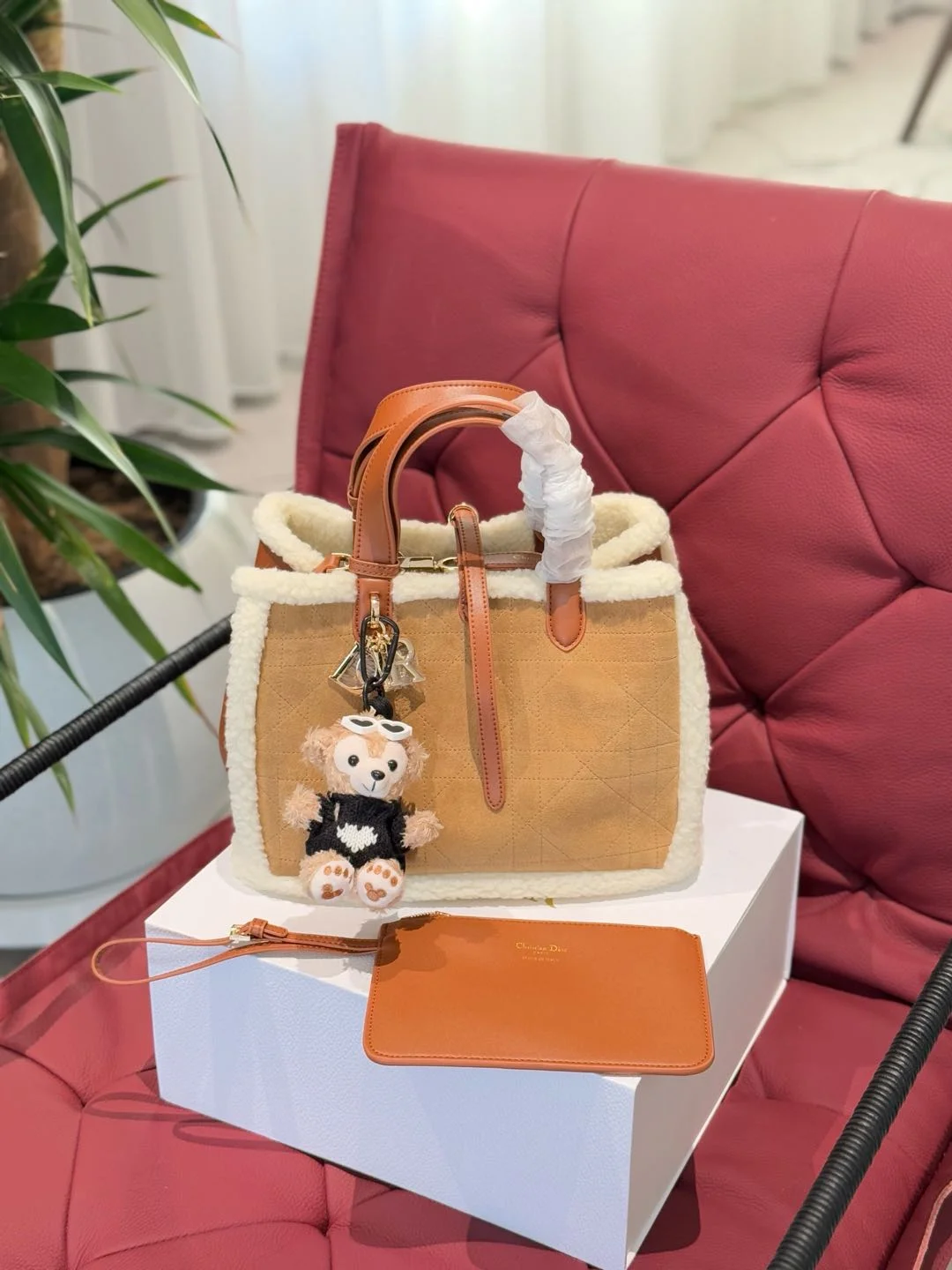 Dior Bag