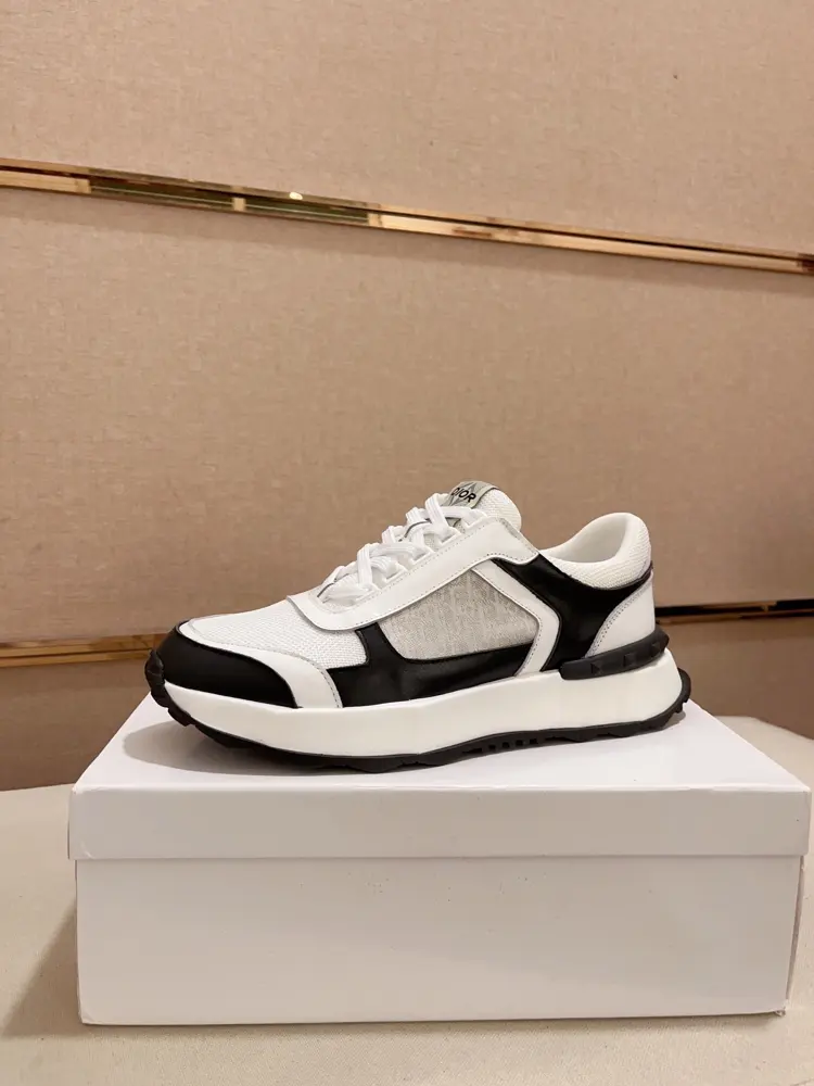 Dior sneakers