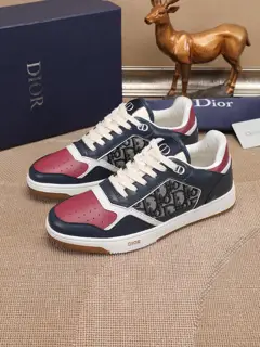 Dior Low-top Series Shoes