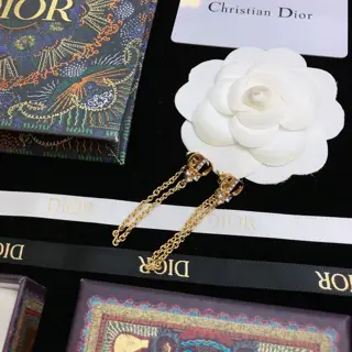 New Dior New Dior earrings Super simple chain earrings CD iconic logo Light gold plated