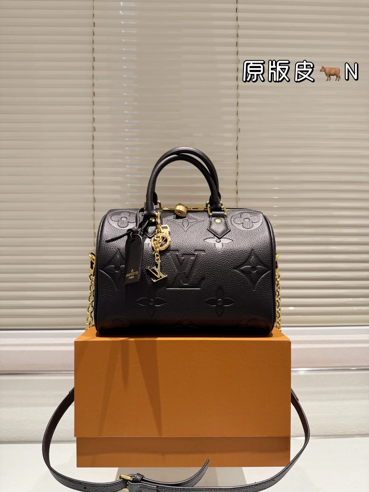 Louis Vuitton Speedy