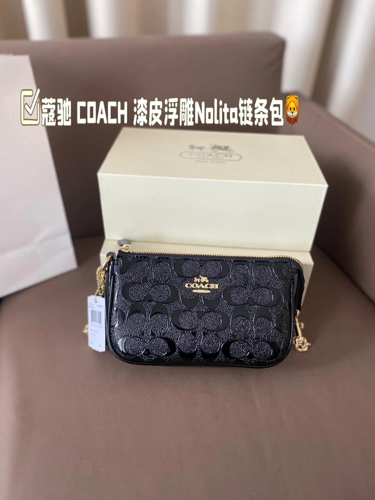 COACH Bag