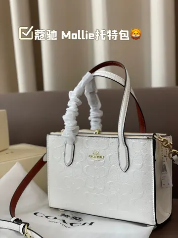 COACH Tote