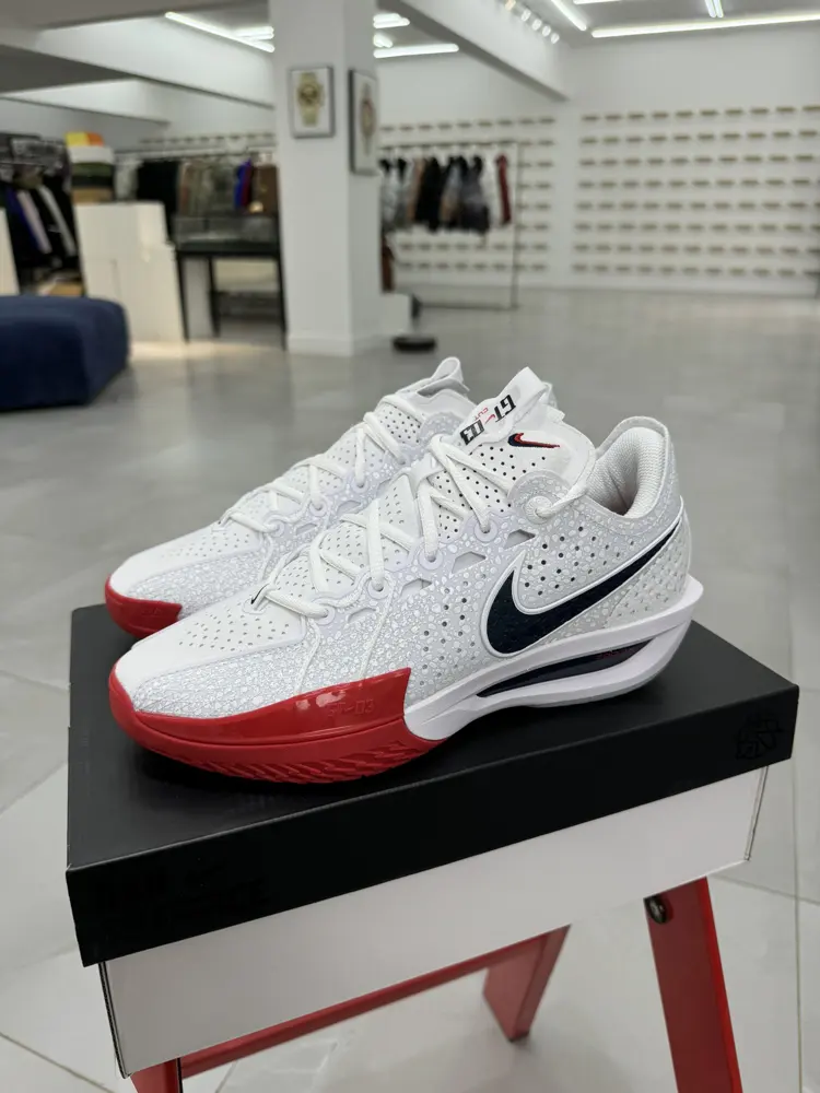 Nike basketball shoes DV2913-103