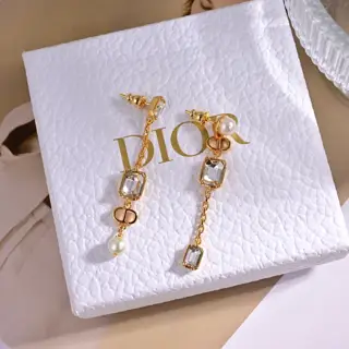 Dior new style Dior new letter earrings loved by top brands Metal texture counterattack