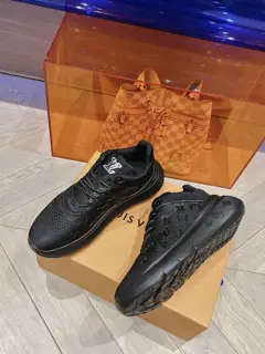 Louis Vuitton sports shoes