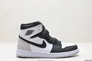 Nike AIR JORDAN 1 Sneakers CD0461-151