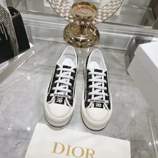 Dior new style – embroidery