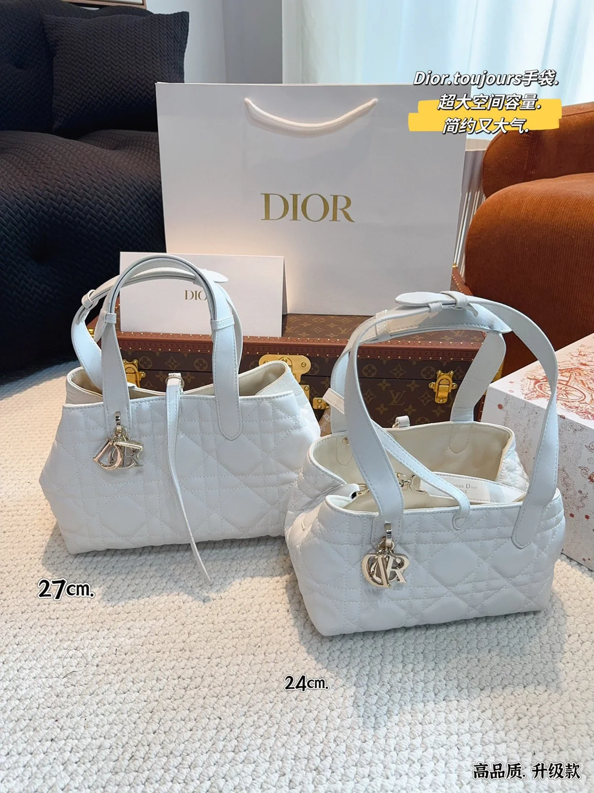 Dior Bag