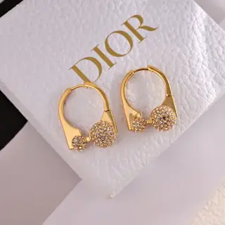 Dior new style Dior new letter earrings loved by all the top brands. The metal texture