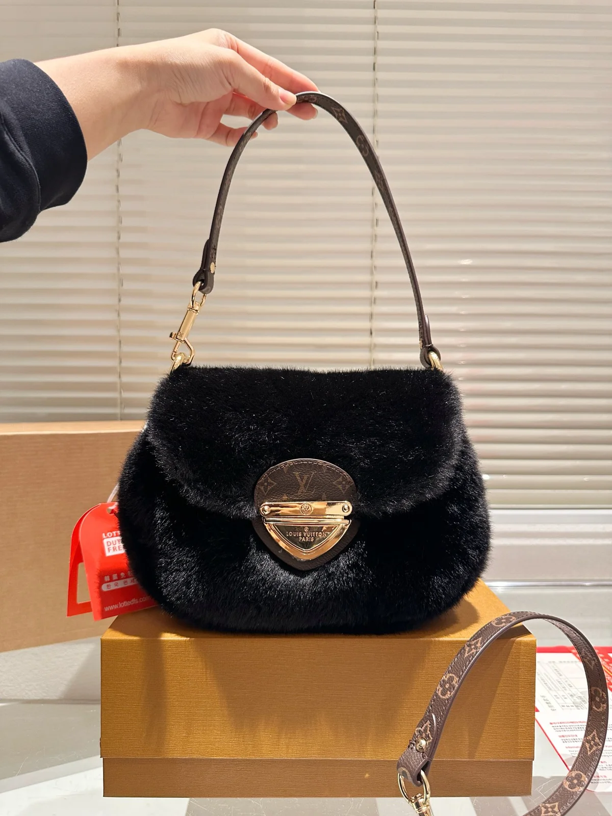 Louis Vuitton Bag