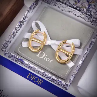Dior The new Dior letter earrings are loved by all the top brands. The metal texture
