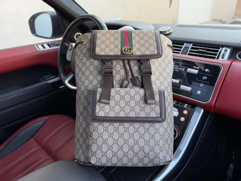 Gucci Ophidia