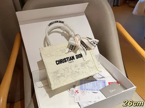 Dior Book Tote