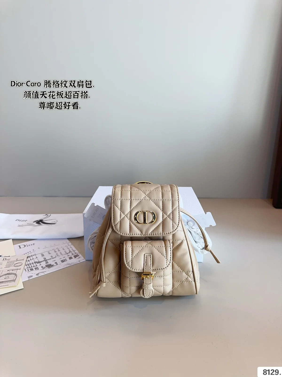 Dior Backpack