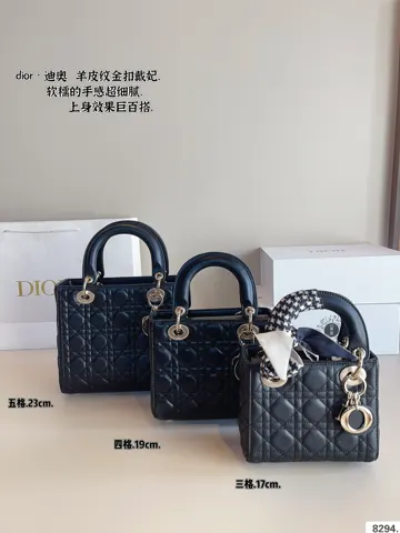 Dior Bag