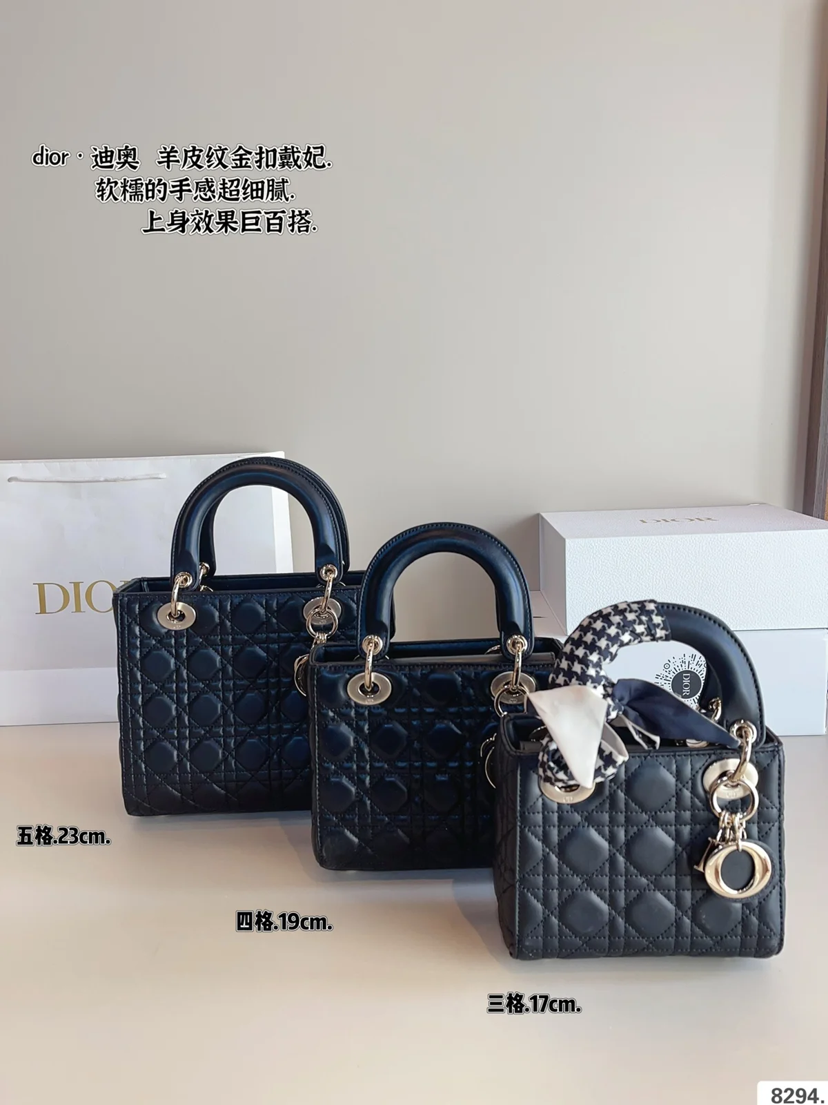 Dior Bag