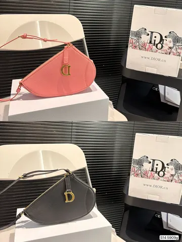 Dior Saddle
