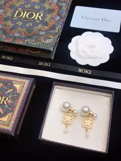 The hottest and latest model DIOR earrings Temperament and personality ▲ Brass material