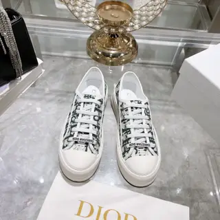 Dior new style – embroidery