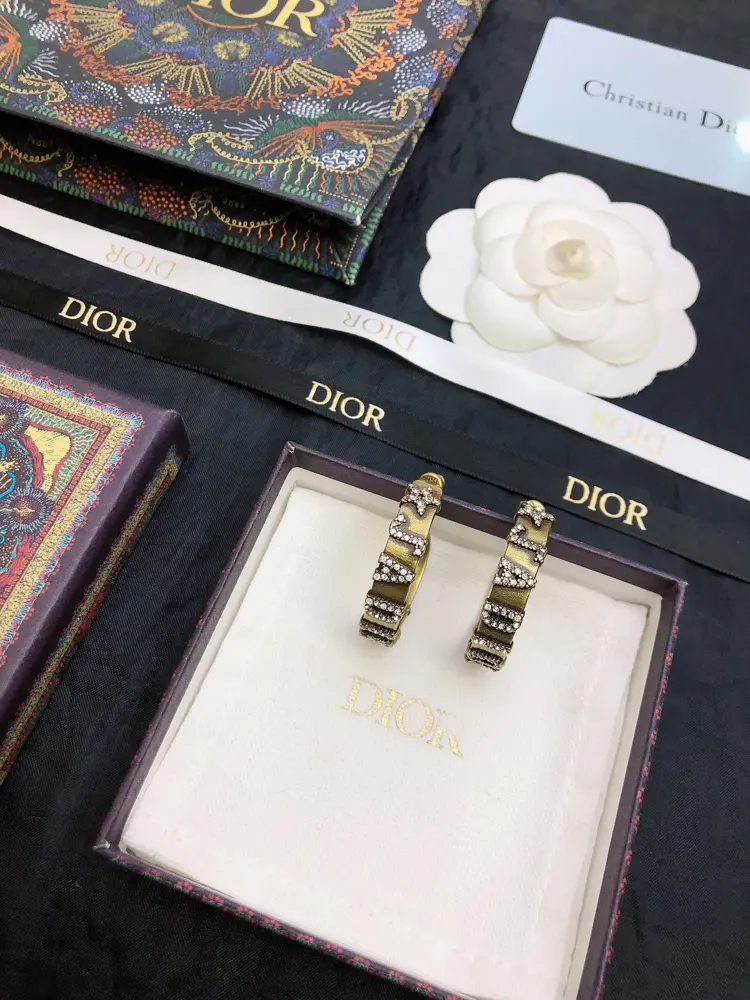 dior22ss Dior CD retro style earrings Exquisite workmanship