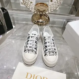 Dior new style – embroidery