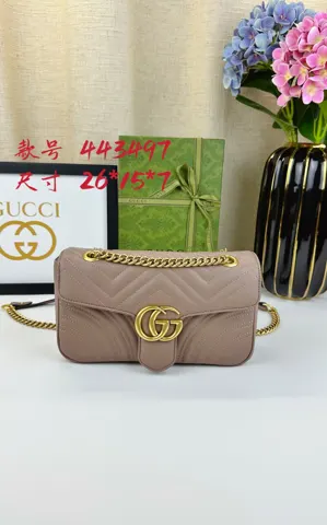 Gucci Bag