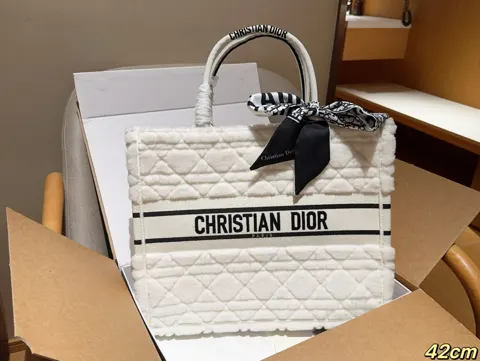 Dior Book Tote