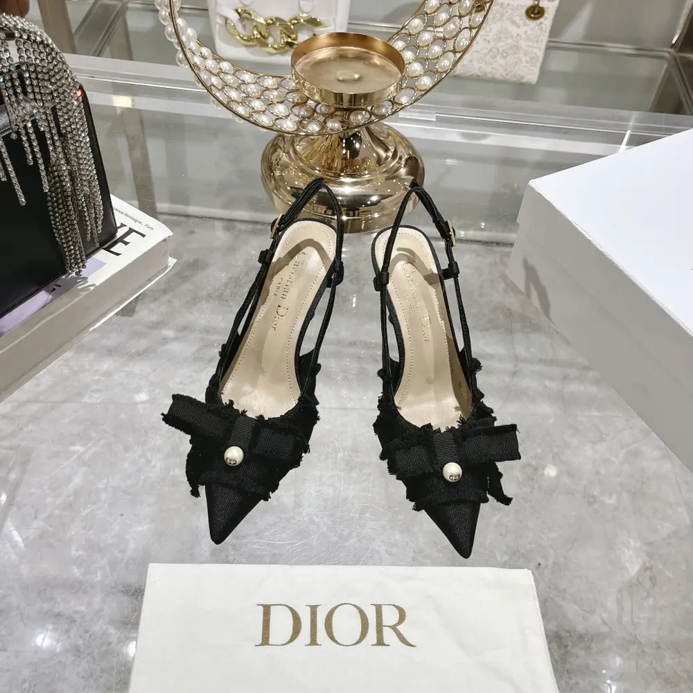 Fringed webbing women’s shoes Dior 2024 autumn catwalk new Adiorble women’s shoes CD