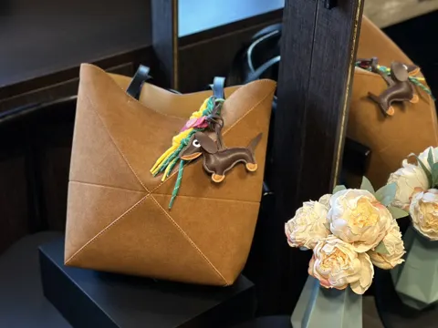 Loewe Bag