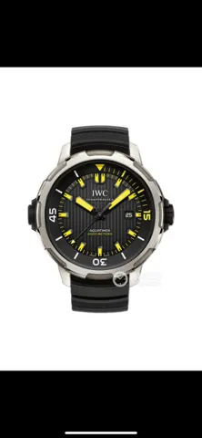 IWC Watch IW358001