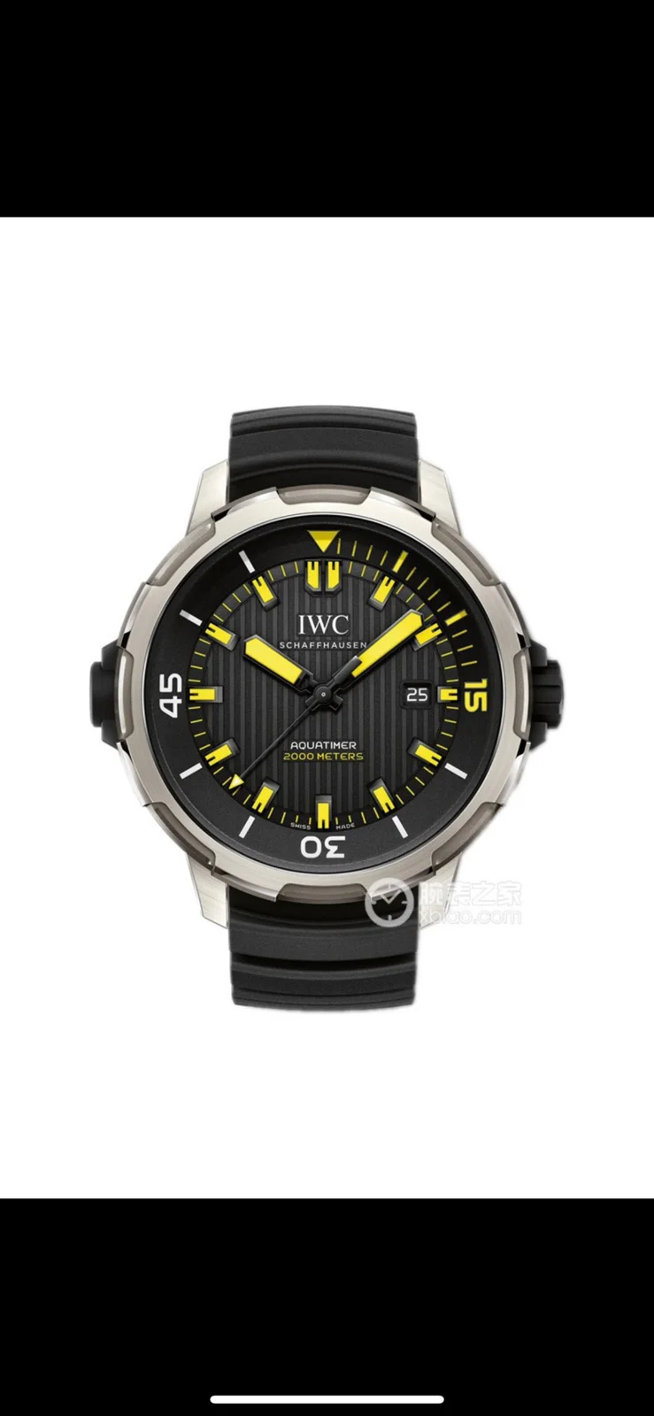 IWC Watch IW358001