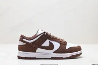 Nike DUNK LOW Dunk Series Retro Low-top Casual Sports Skateboard Shoes HJ7673-002