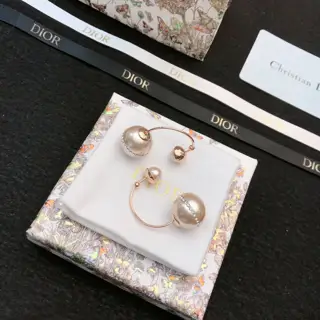 Dior new style earrings beautiful simple and elegant fashionable low-key and luxurious