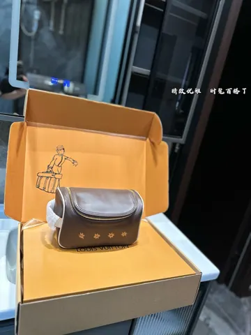 Louis Vuitton Bag