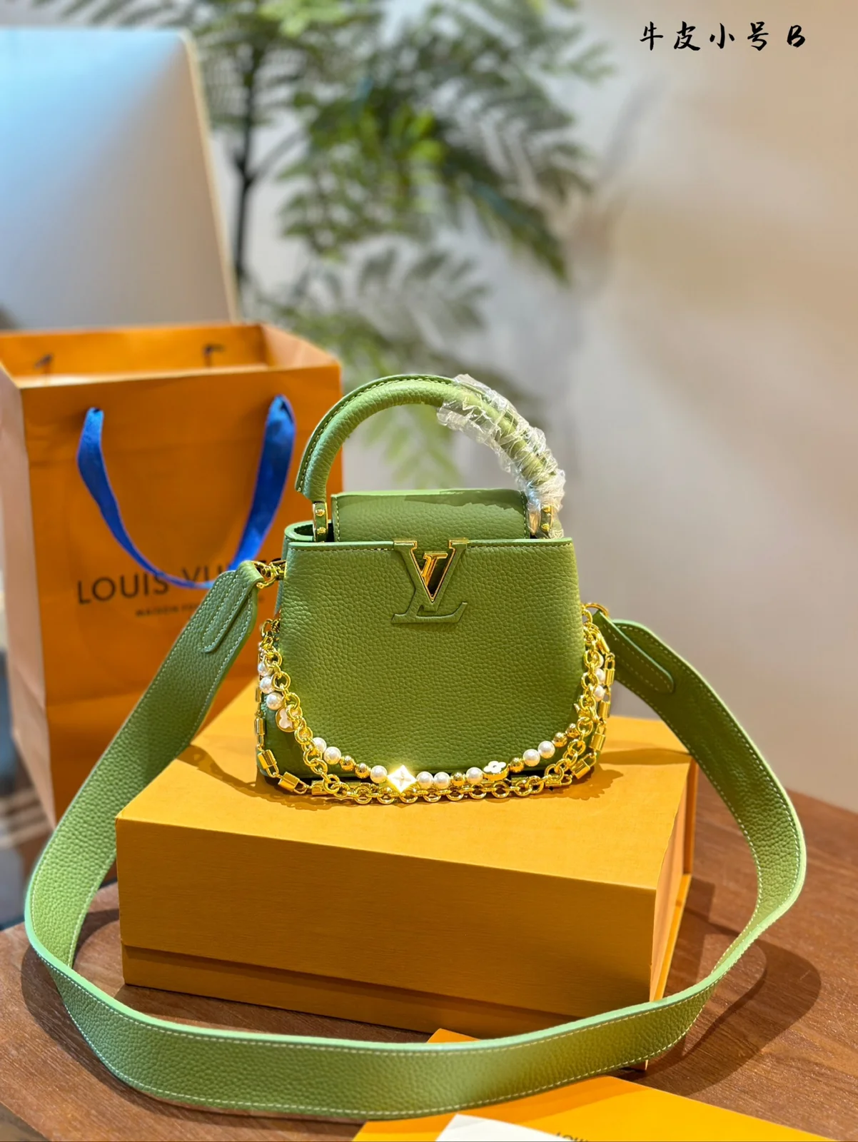 Louis Vuitton Bag