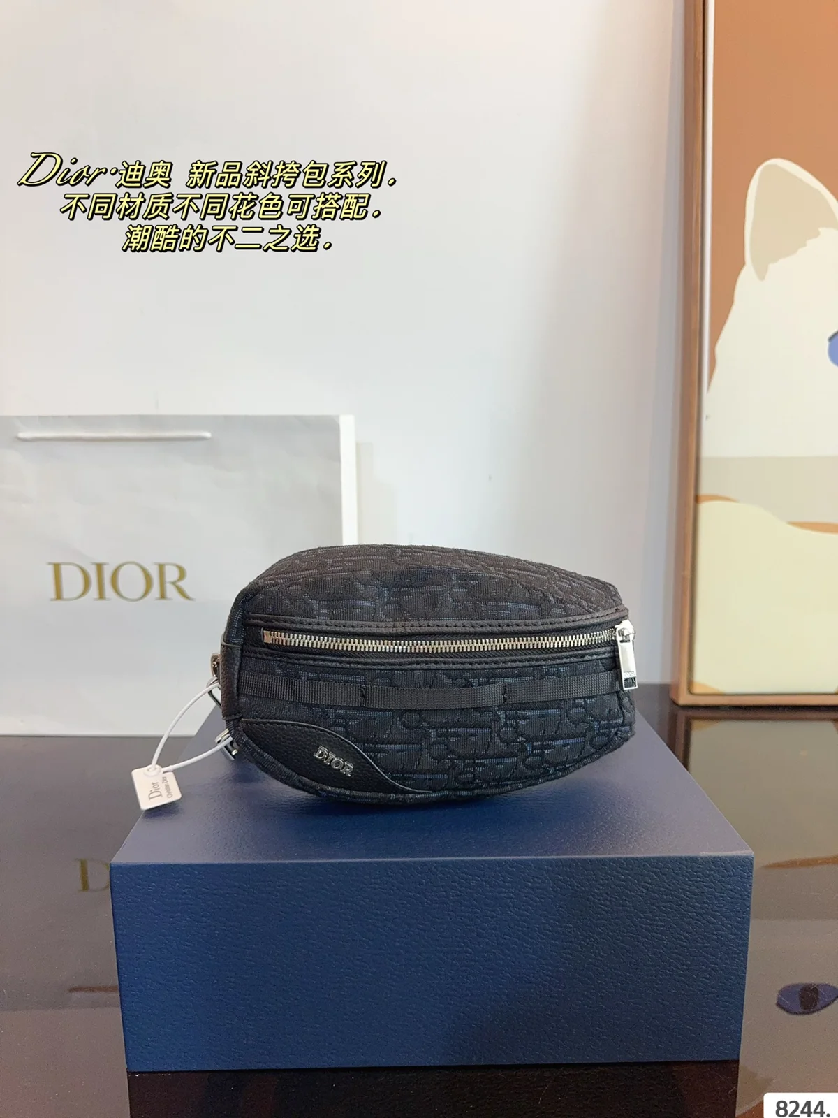 Dior Shoulder Bag
