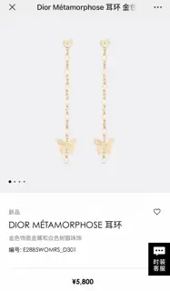 DIOR CD earrings