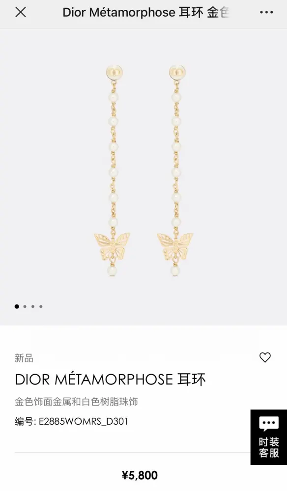 DIOR CD earrings