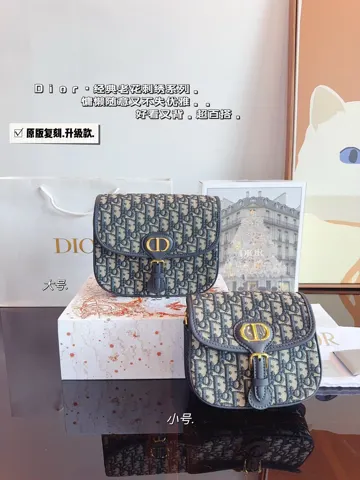 Dior Saddle