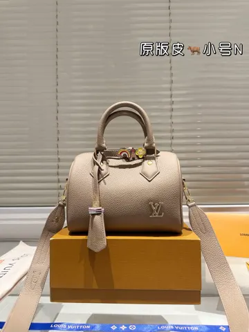 Louis Vuitton Speedy