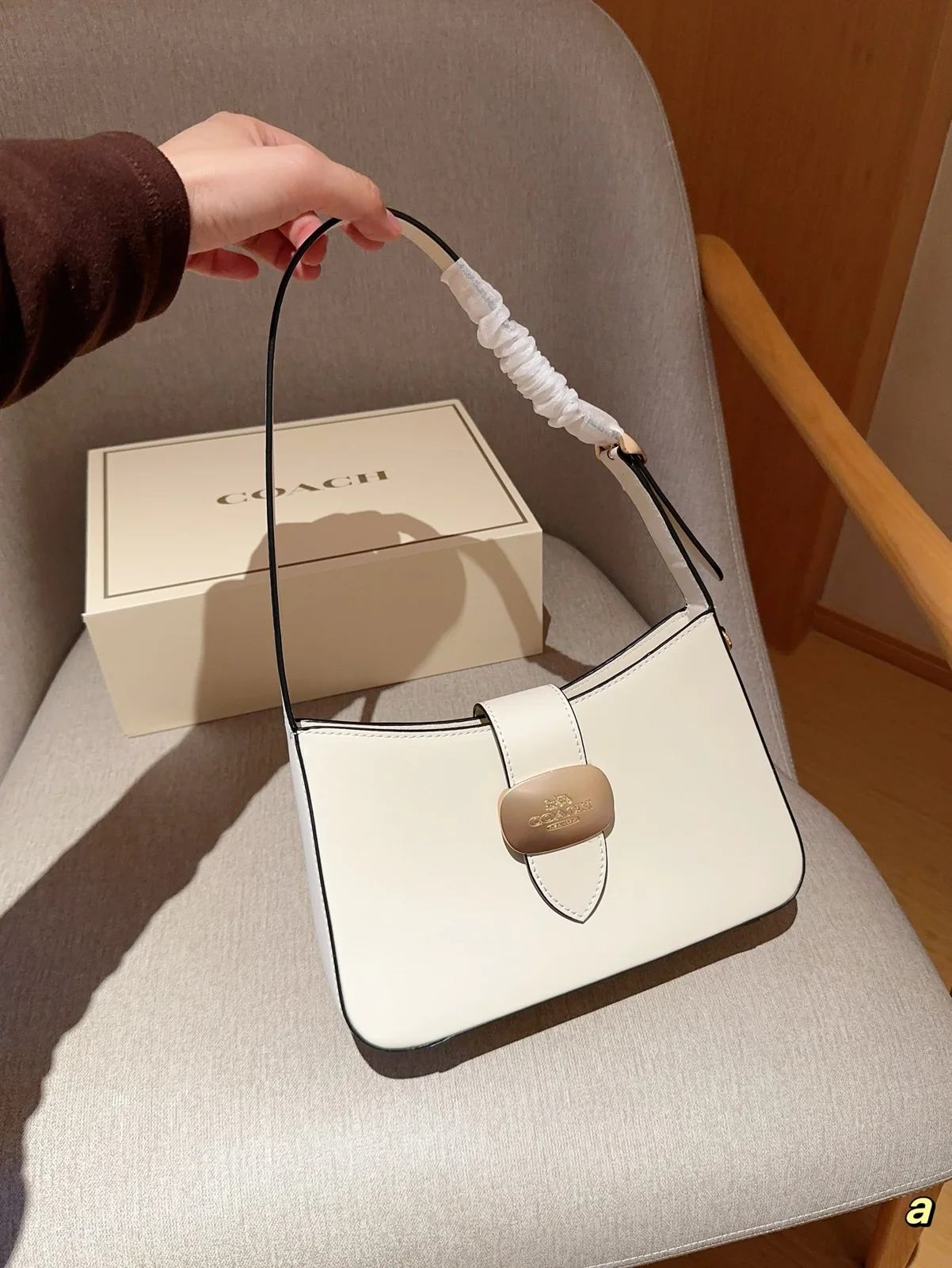 COACH Crossbody
