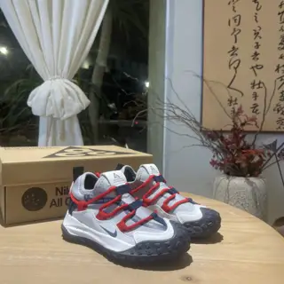 Nike ACG hiking shoes
