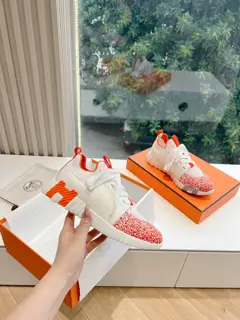 Hermes’ new hot-selling product
