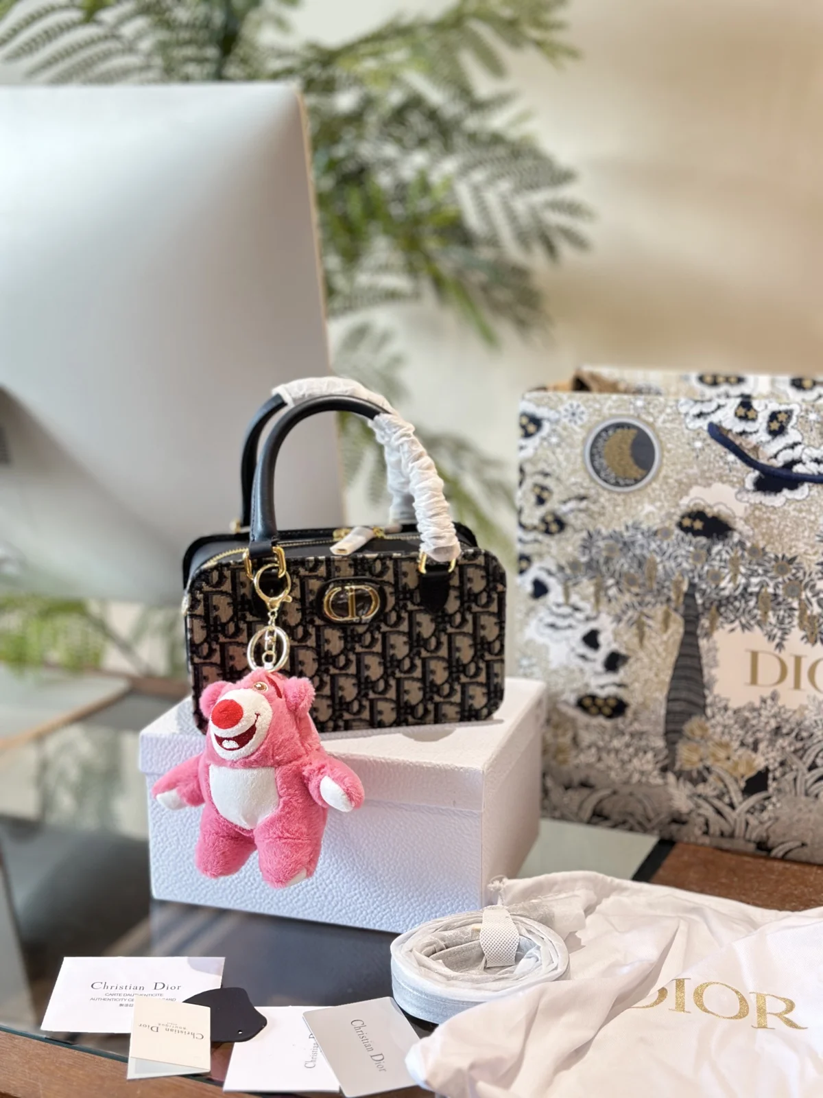 Dior Bag