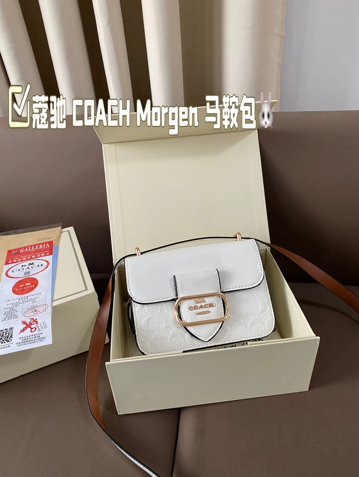COACH Saddle