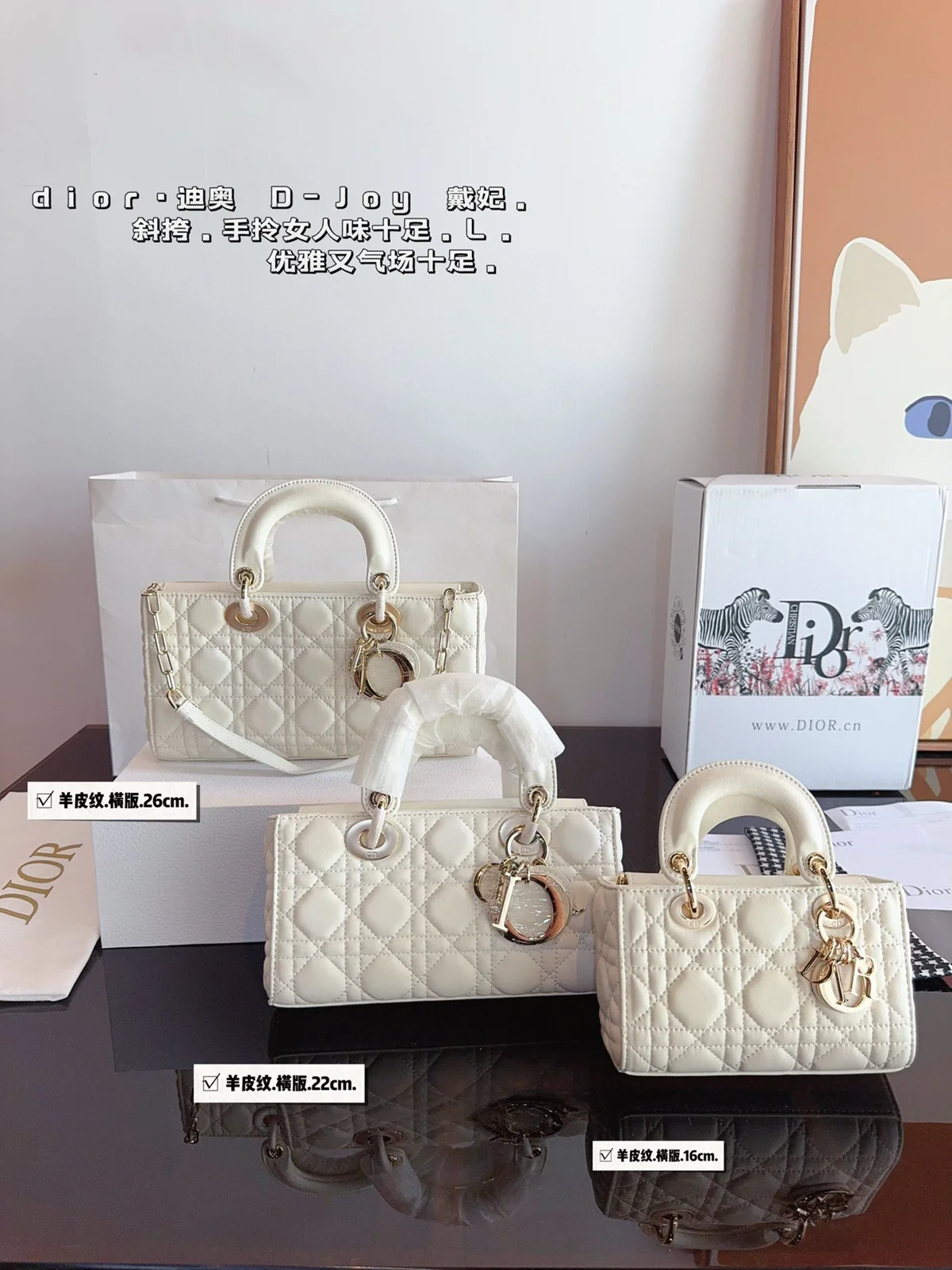 Dior Bag
